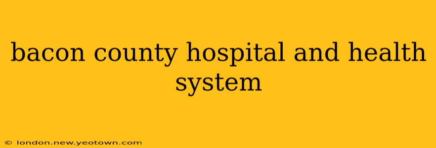 bacon county hospital and health system
