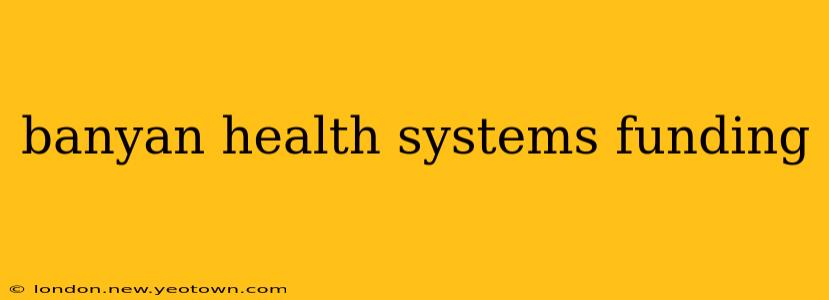 banyan health systems funding