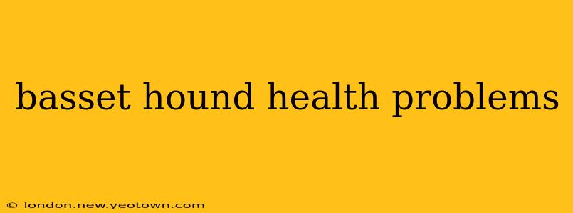 basset hound health problems