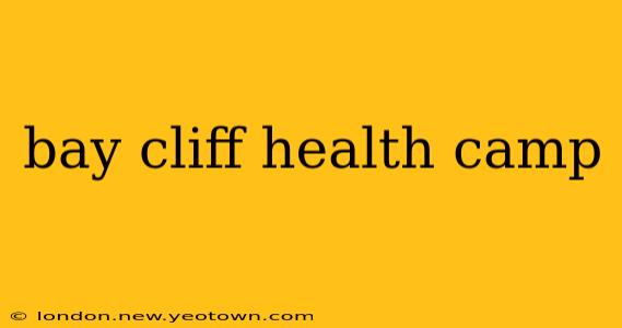 bay cliff health camp