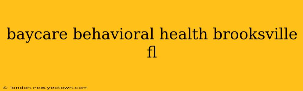 baycare behavioral health brooksville fl