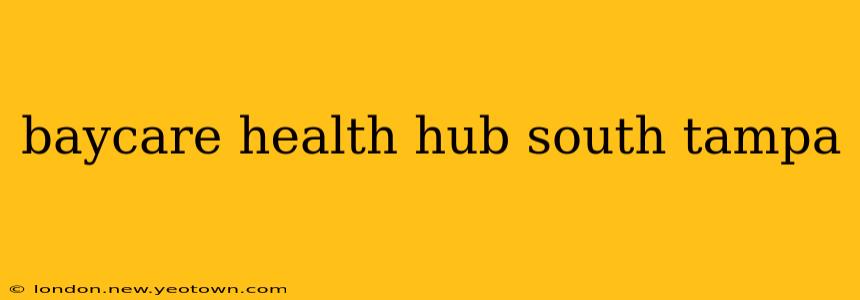 baycare health hub south tampa