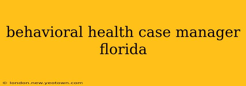 behavioral health case manager florida