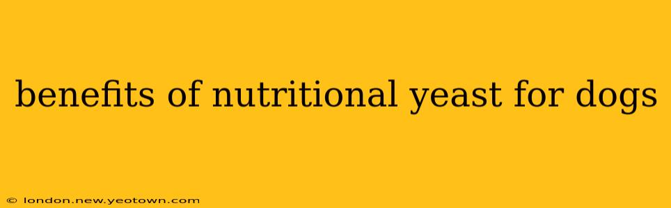benefits of nutritional yeast for dogs