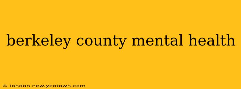 berkeley county mental health