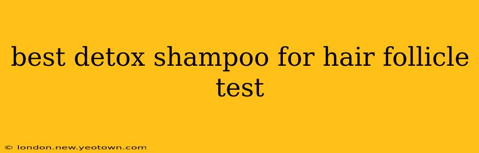 best detox shampoo for hair follicle test