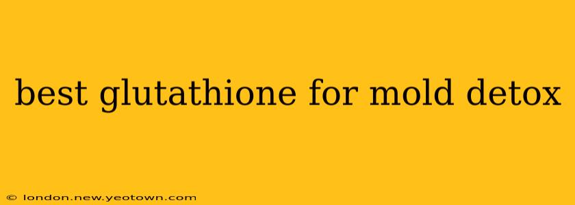 best glutathione for mold detox