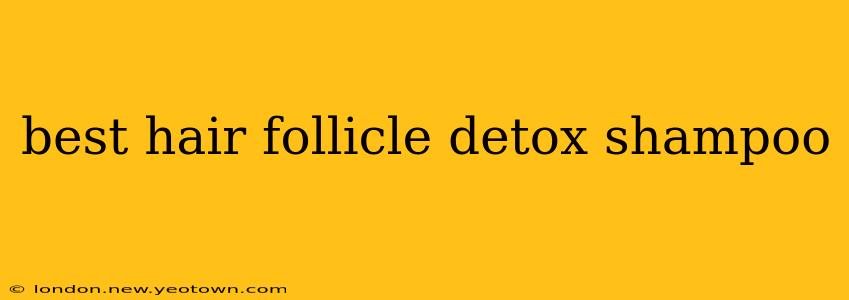 best hair follicle detox shampoo