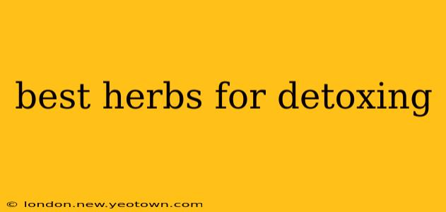 best herbs for detoxing
