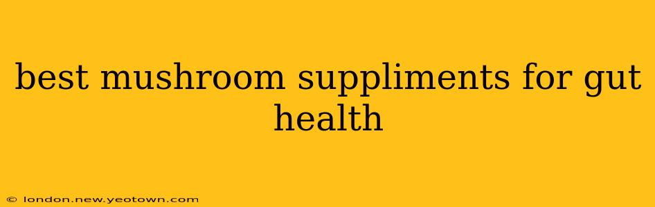 best mushroom suppliments for gut health