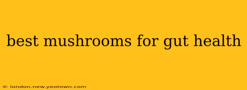 best mushrooms for gut health