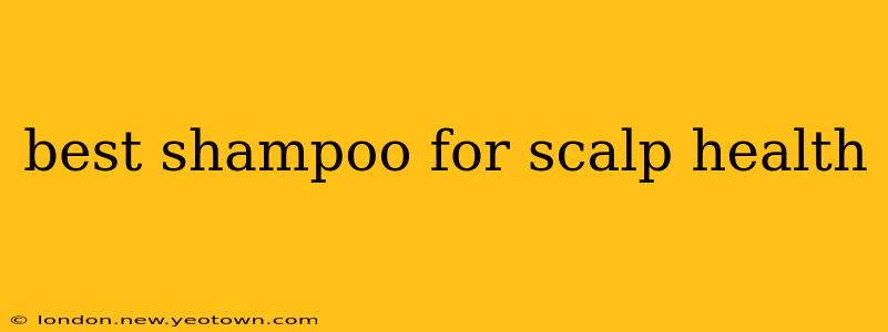 best shampoo for scalp health
