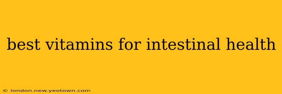 best vitamins for intestinal health