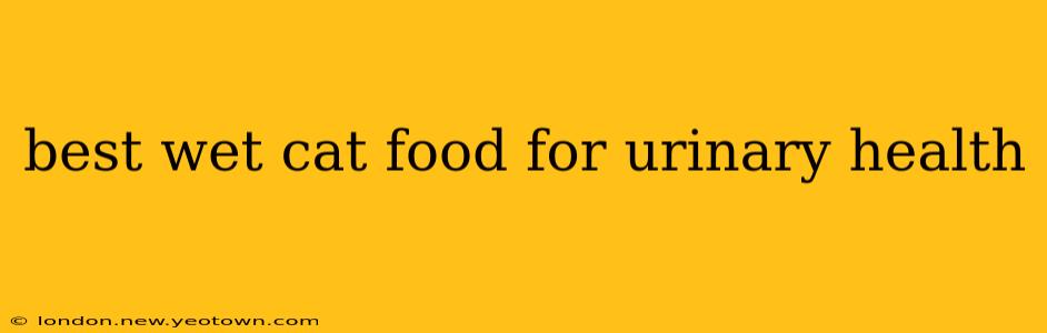 best wet cat food for urinary health