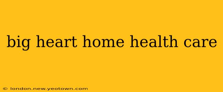 big heart home health care