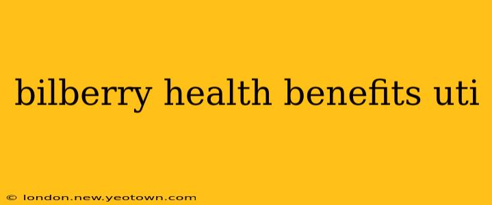 bilberry health benefits uti