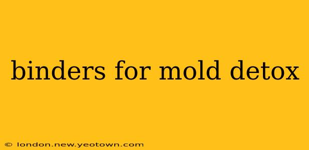binders for mold detox