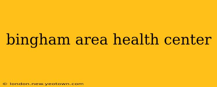 bingham area health center