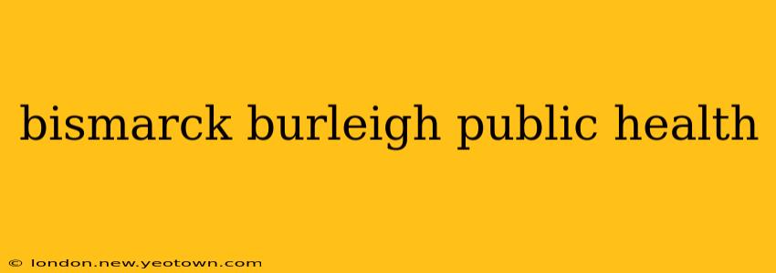 bismarck burleigh public health