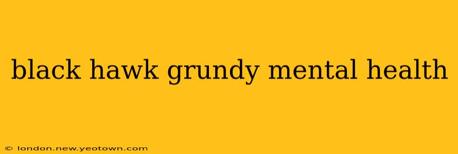 black hawk grundy mental health