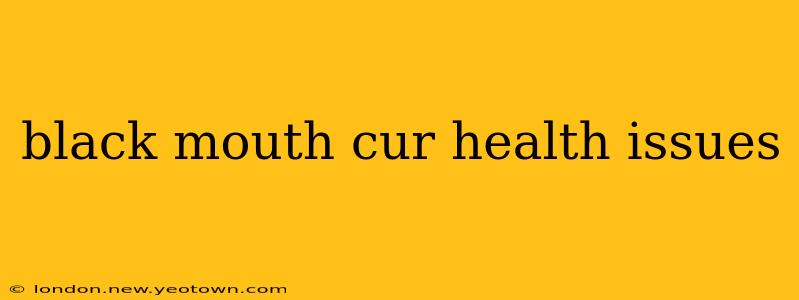black mouth cur health issues