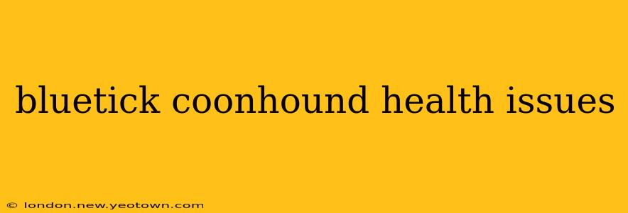 bluetick coonhound health issues