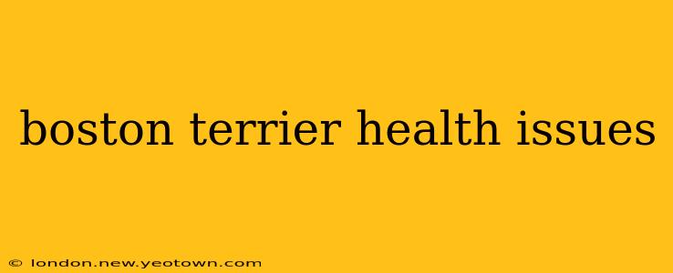 boston terrier health issues