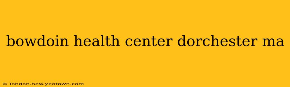 bowdoin health center dorchester ma