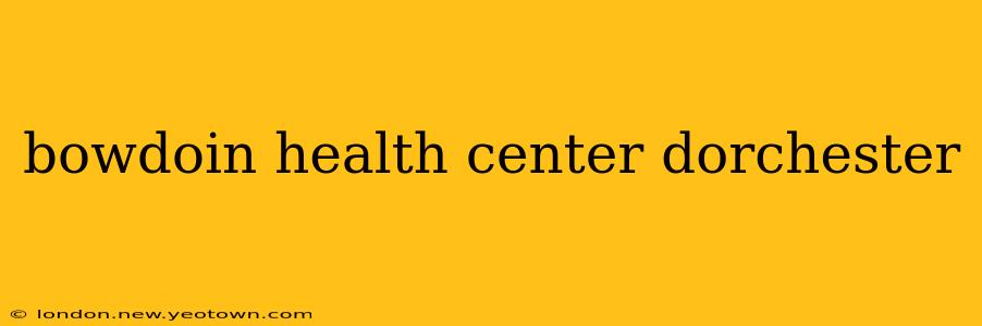 bowdoin health center dorchester