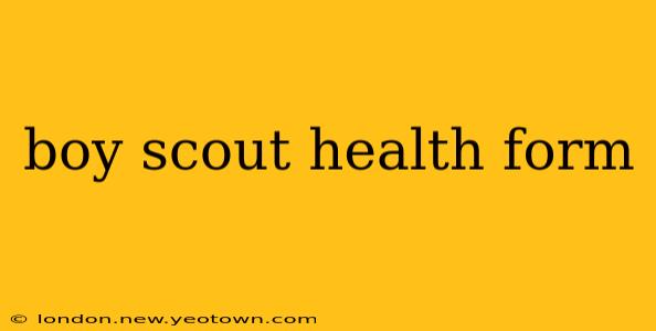 boy scout health form