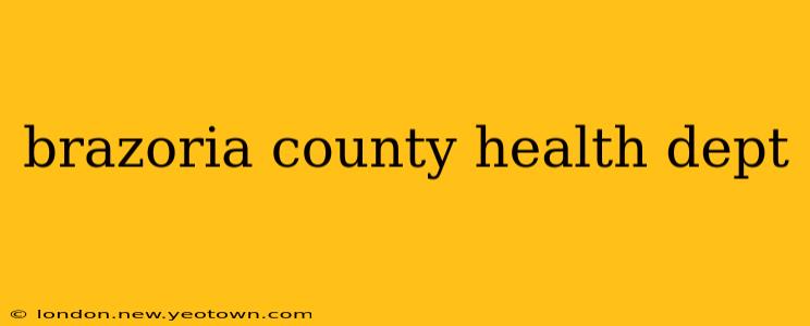 brazoria county health dept