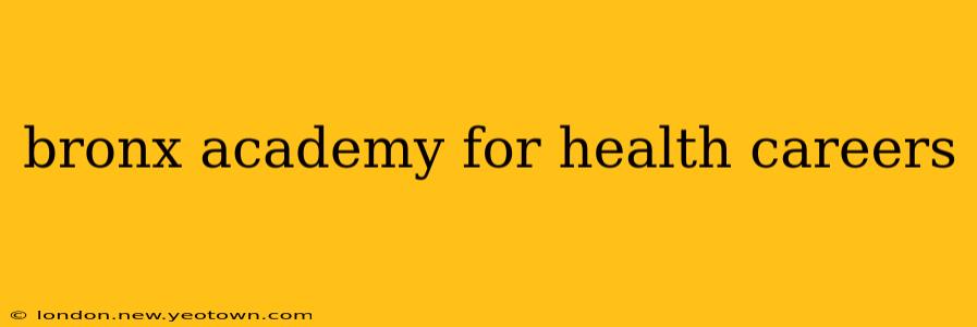 bronx academy for health careers