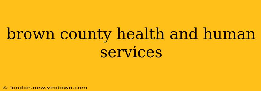 brown county health and human services