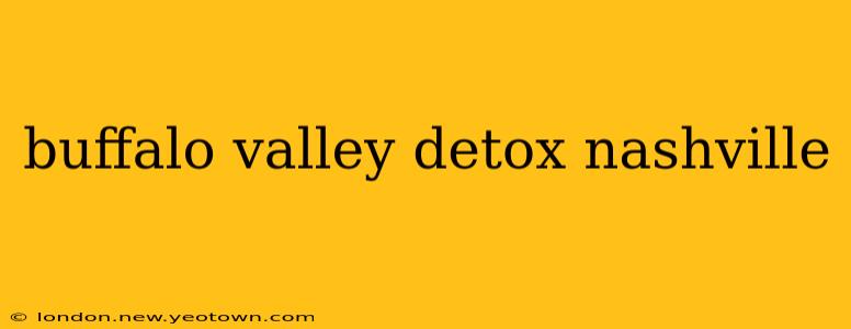 buffalo valley detox nashville