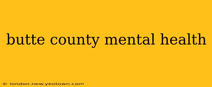 butte county mental health