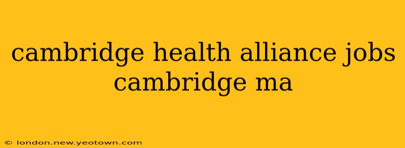cambridge health alliance jobs cambridge ma