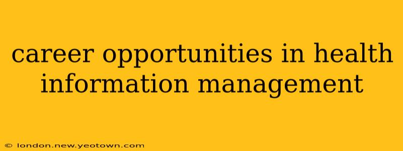 career opportunities in health information management