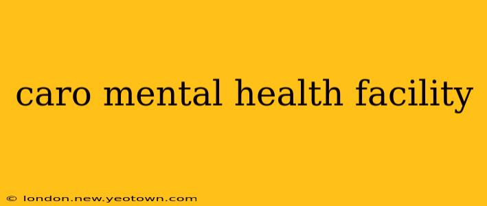 caro mental health facility