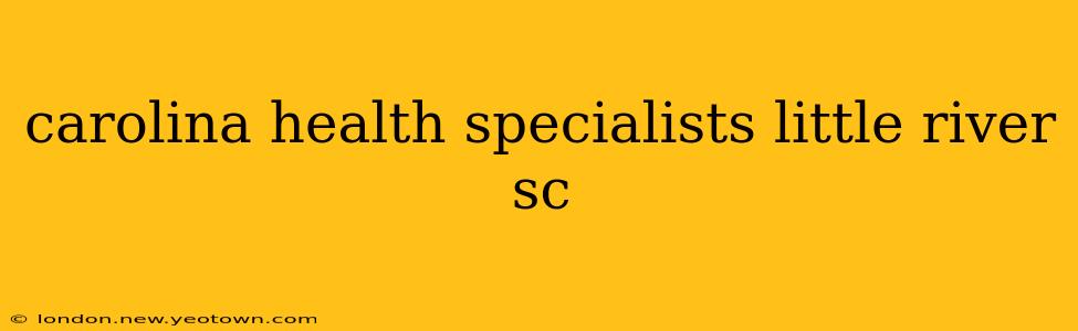 carolina health specialists little river sc