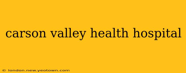carson valley health hospital