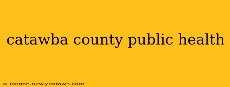 catawba county public health