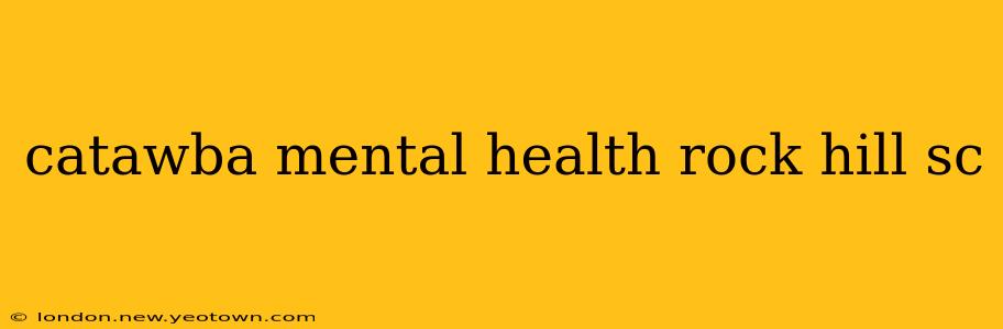 catawba mental health rock hill sc