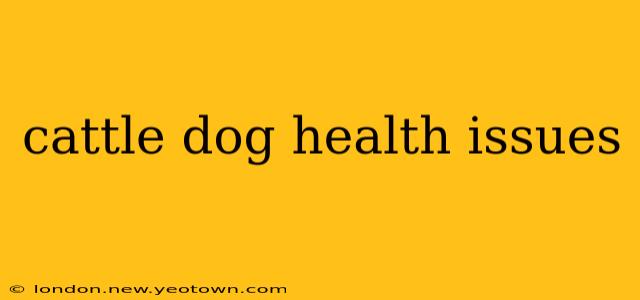 cattle dog health issues