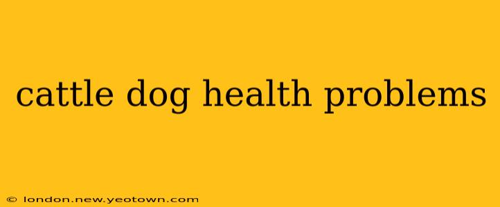 cattle dog health problems