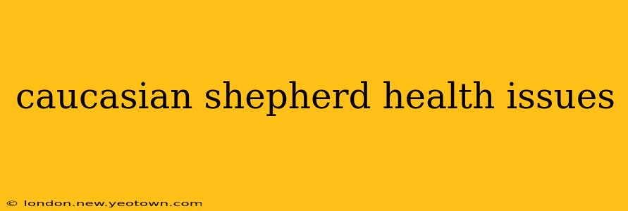 caucasian shepherd health issues
