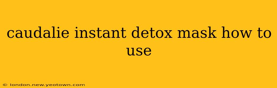 caudalie instant detox mask how to use