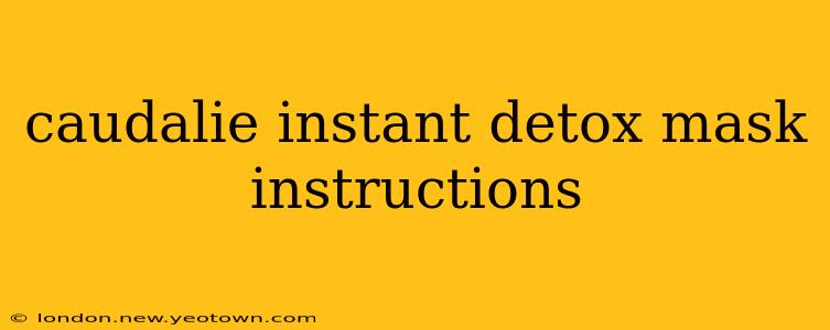 caudalie instant detox mask instructions