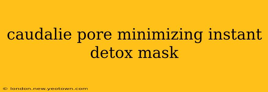 caudalie pore minimizing instant detox mask