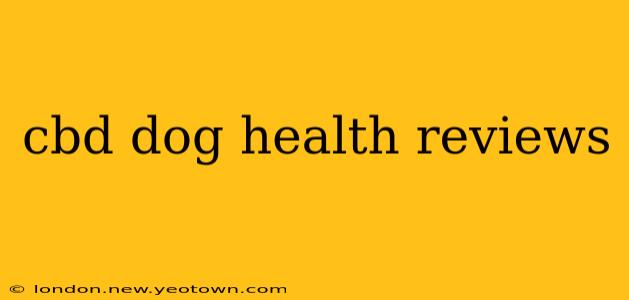 cbd dog health reviews