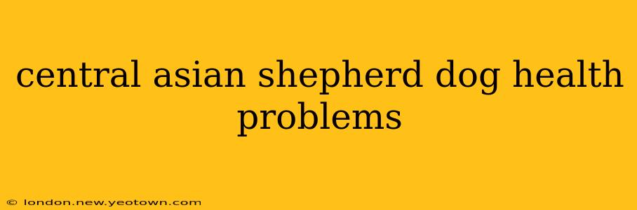 central asian shepherd dog health problems